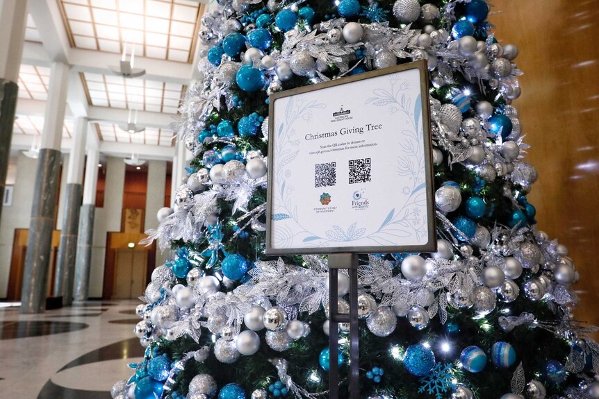 The tree sparkles blue and silver near a sign with the codes on it.