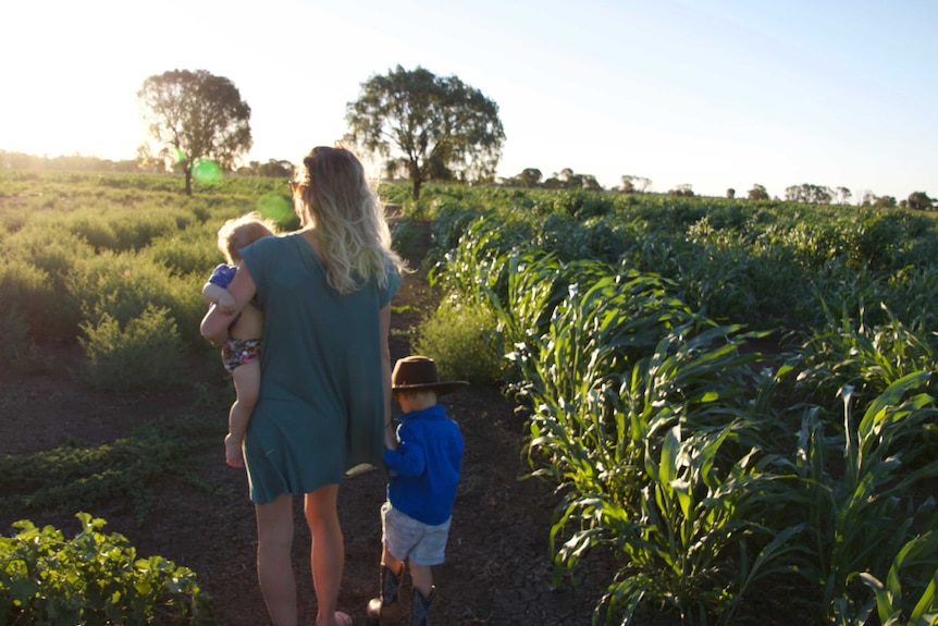 Wide shot of a woman walking with two small children through a paddock towards the sunset.