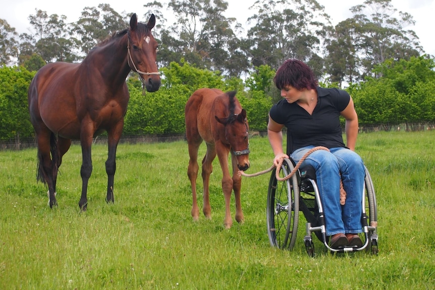 Image of a woman in a wheelchair with two horses. 