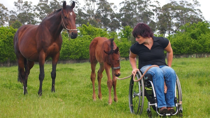 After she became a paraplegic, Katherine had to swap her horse-racing dreams for farm life