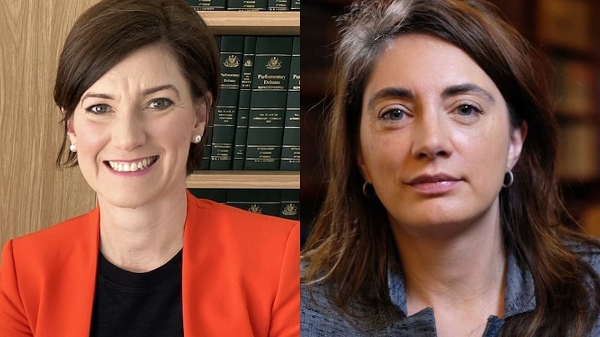 Two close up images of female politicians Nicolle Flint and Michelle Lensink