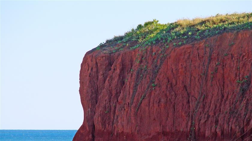 Beach cliff at James Price Point