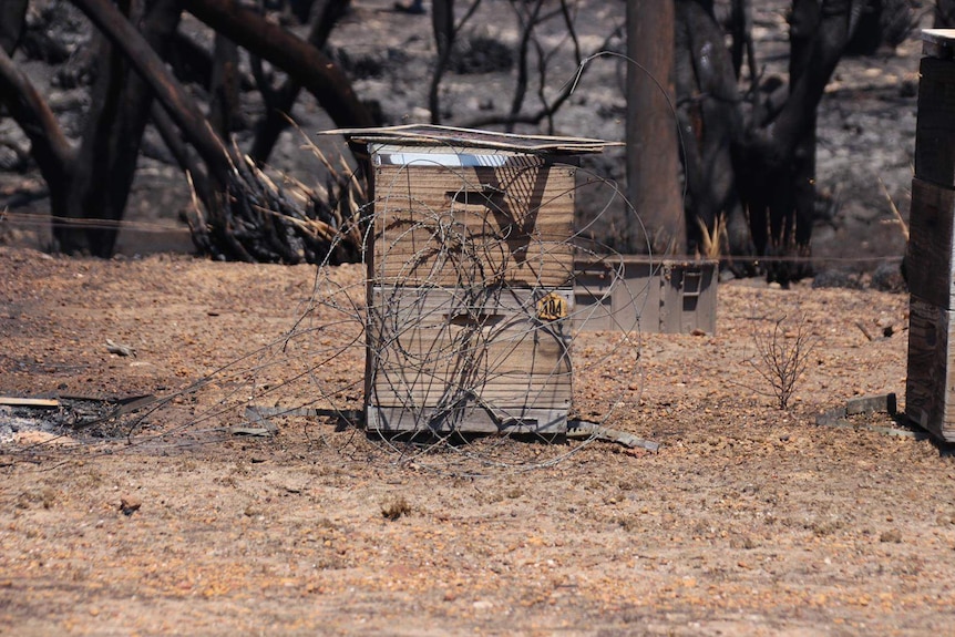 A beehive surrounded by barbed wire