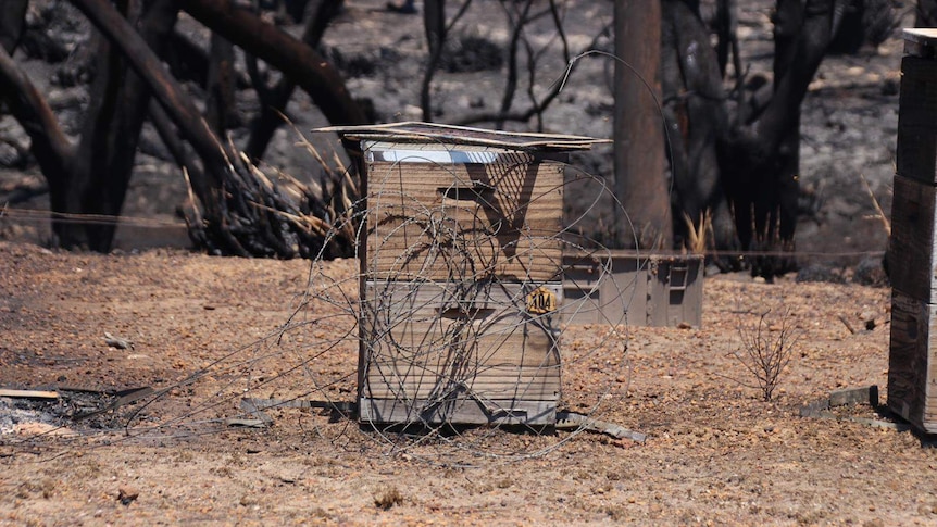 A beehive surrounded by barbed wire
