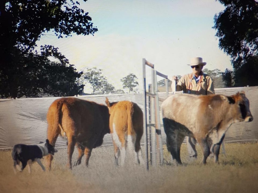 Fraser Ramsey competing in a working dog trial.