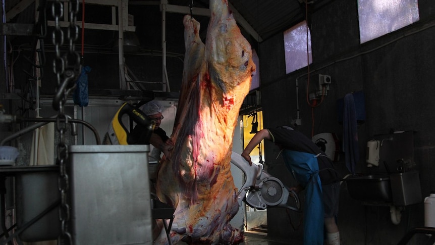 two men cutting up a carcass hanging on hooks