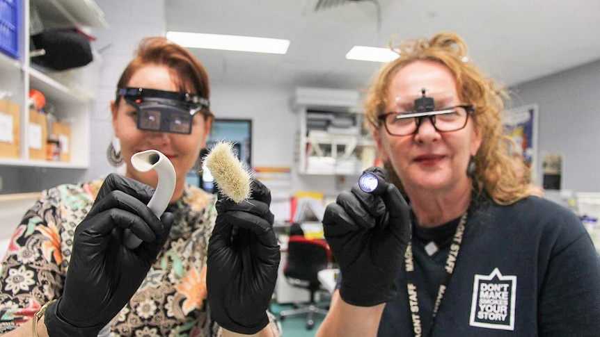 Art conservationists Lisa Nolan and Carolyn McLennan holding their tools up to the camera.