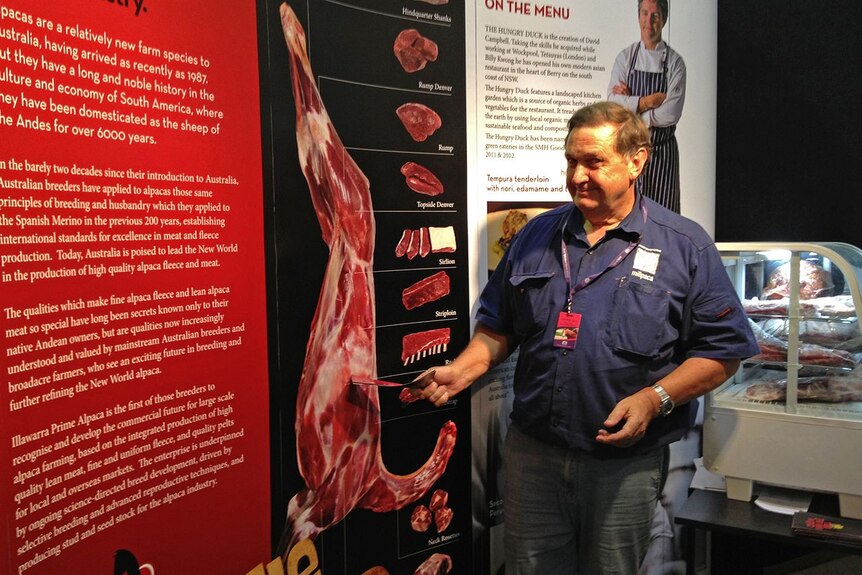 A man in a blue work shirt standing near a poster explaining cuts of alpaca meat.