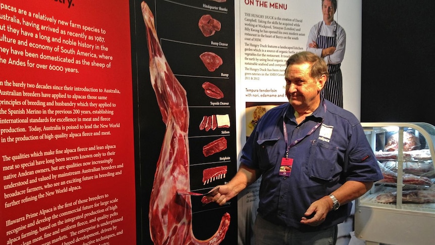 Ian Frith explains the different cuts of alpaca meat.