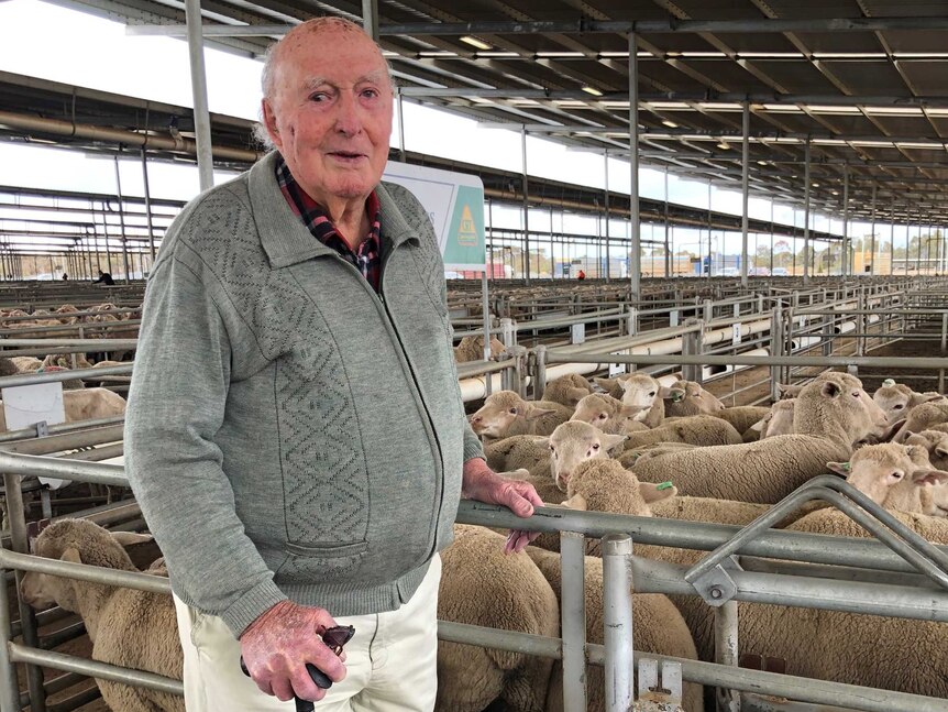 Rex Egerton-Warburton standing in front of sheep at some saleyards.