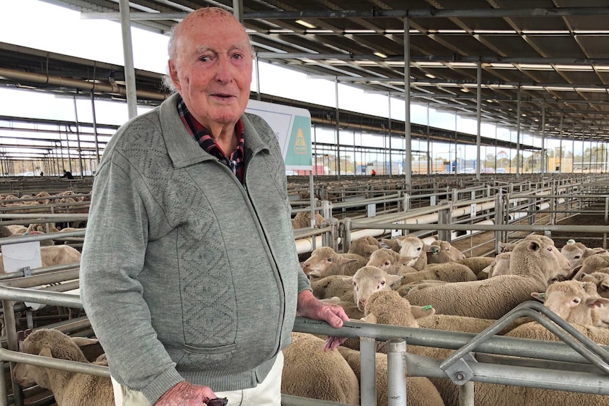 Rex Egerton-Warburton standing in front of sheep at some saleyards.