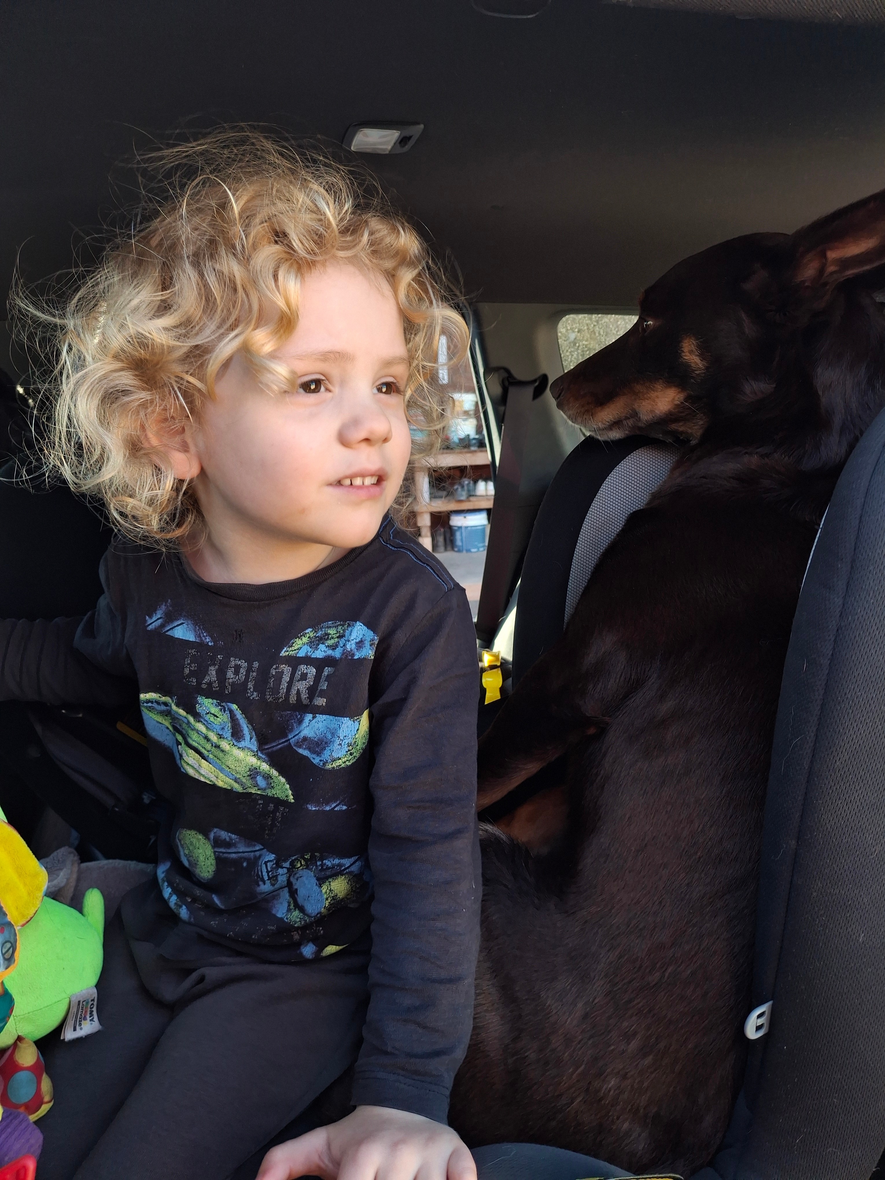 c662143ac8d9c8b30ac9e8cc8090ac65?impolicy=wcms_crop_resize&cropH=2040&cropW=3060&xPos=0&yPos=402&width=862&height=575