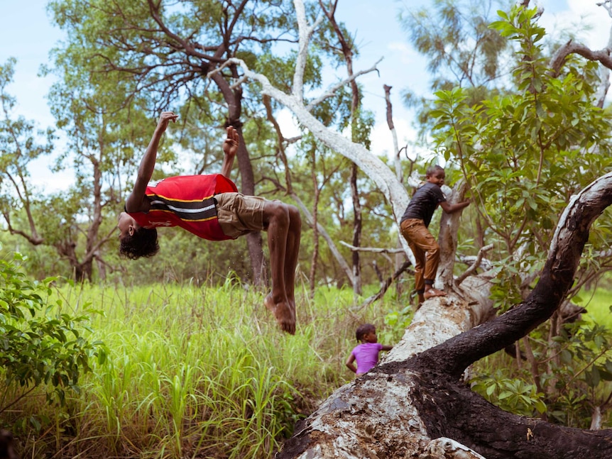 Junior does a backflip off a log into