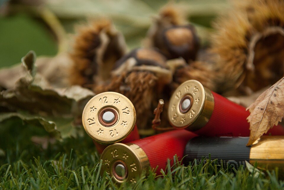 Shotgun cartridges, ammunition, close up generic image.