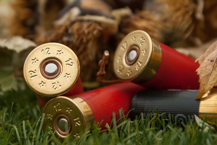 Shotgun cartridges, ammunition, close up generic image.