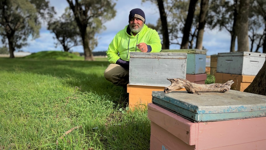 A man wearing a beanie, green fluorescent jacke kneels beside beehives placed in a green park surrounded by trees.