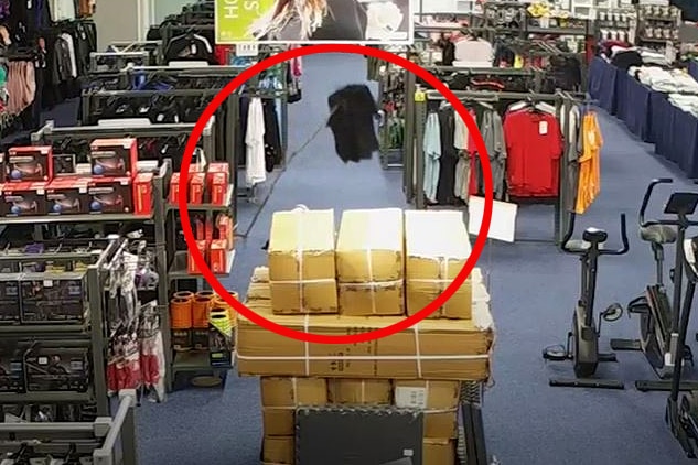 A stick pokes out of the floor in a store, with a T-shirt hooked on its end, highlighted by a red circle drawn on the frame