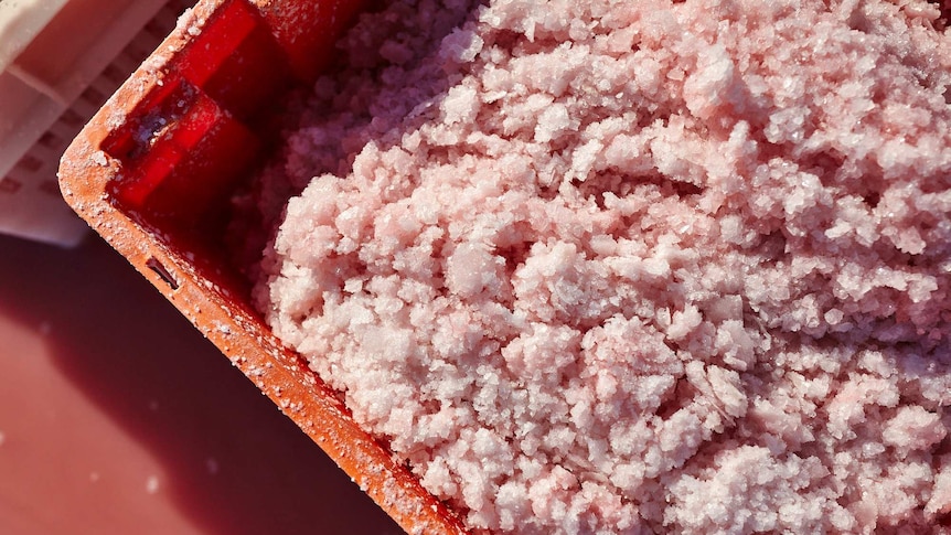 Salt sludge sits in a bucket on Pink Lake's surface.