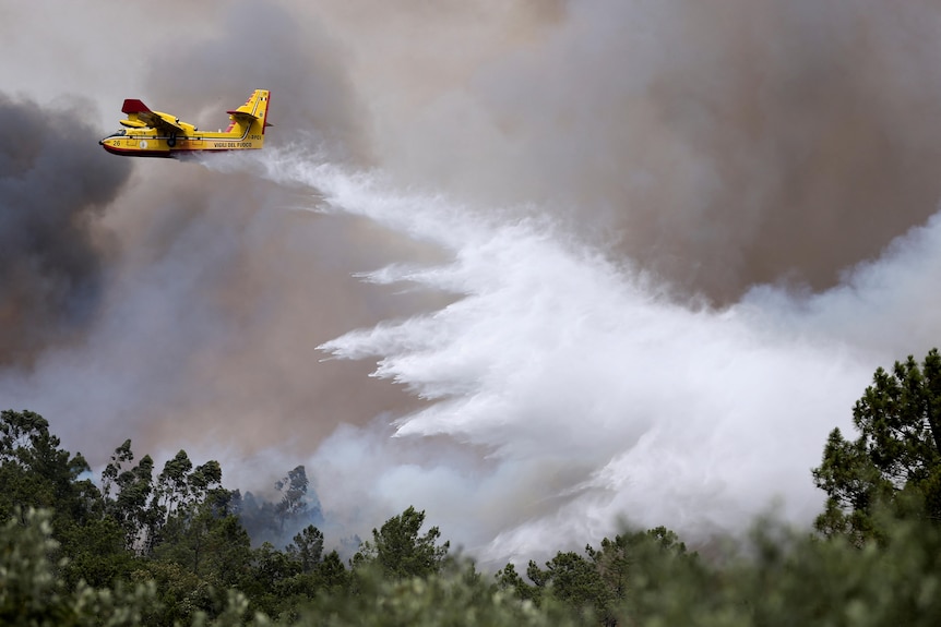 Firefighting plane drops water onto wildfire.