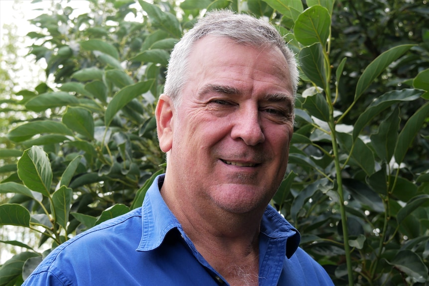 A middle aged man with grey hair smiles, he's wearing a button up blue shirt and standing in front of avocado trees