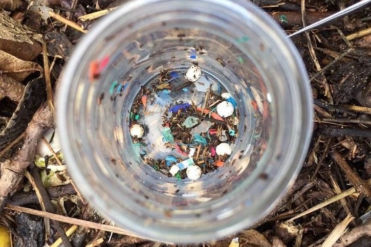 A cup full of tiny colourful microplastics.