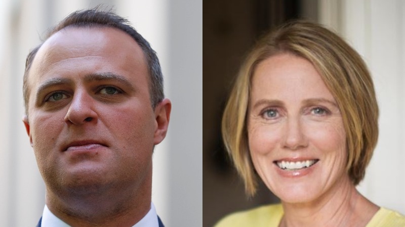Composite head shots of a stern former Goldstein MP, Tim Wilson (left), and its current MP Zoe Daniel (right), who is smiling.
