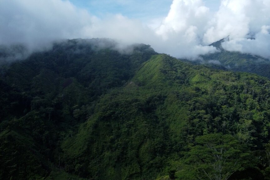 Tree-covered mountains with steep slopes. There are clouds in the distance on top of the mountains.