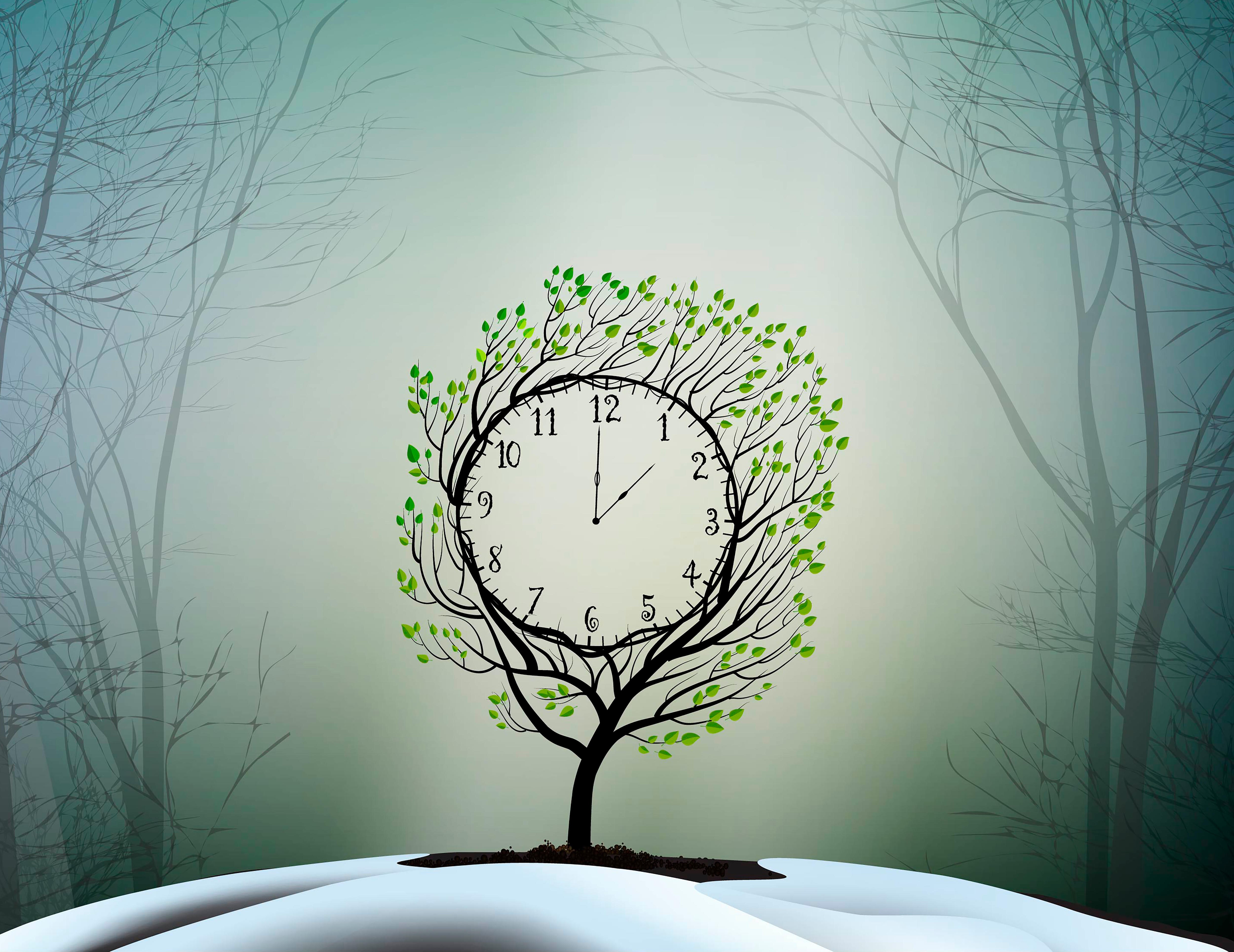 Worried about the future? A mosquito could help you to live in the present