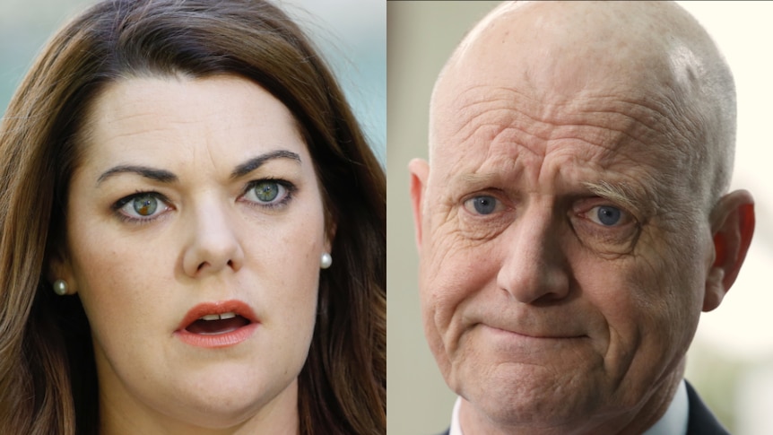 A composite image of David Leyonhjelm frowning and Sarah Hanson-Young looking shocked.