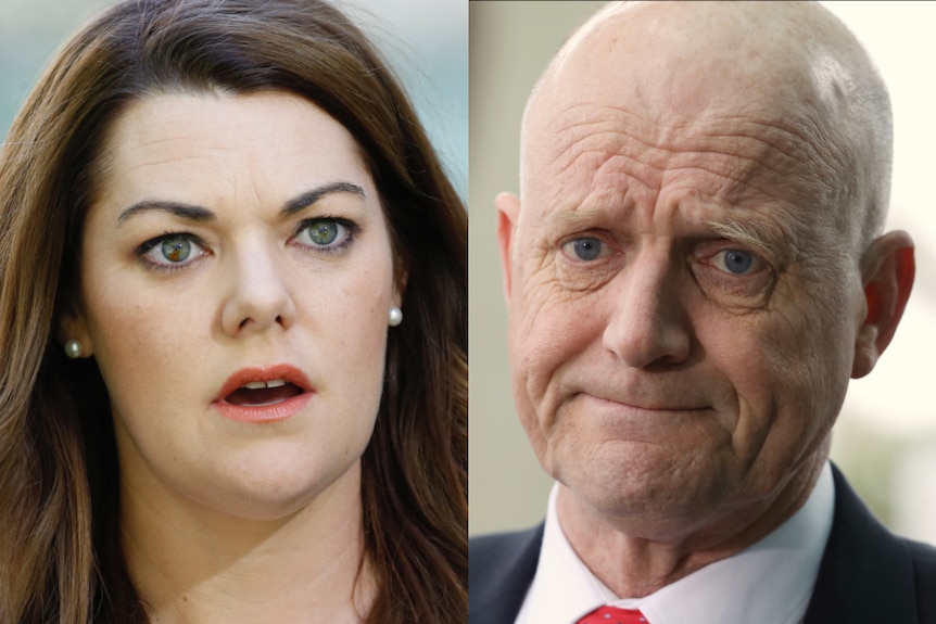 A composite image of David Leyonhjelm frowning and Sarah Hanson-Young looking shocked.