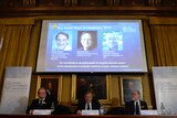 Martin Karplus, Michael Levitt and Arieh Warshel win Nobel Prize.
