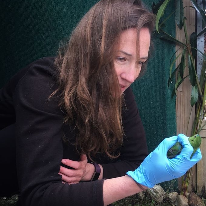 Biologist holding a parrot