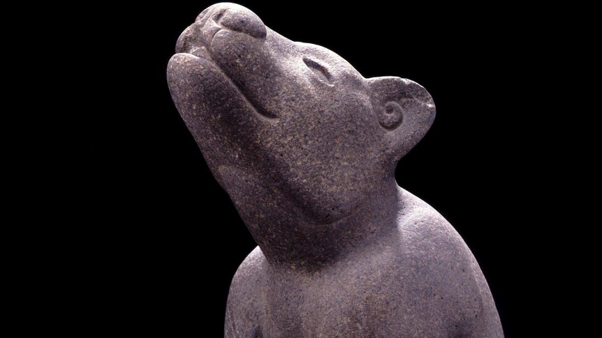 Sculpture of a dog about 1500, Aztec, stone.