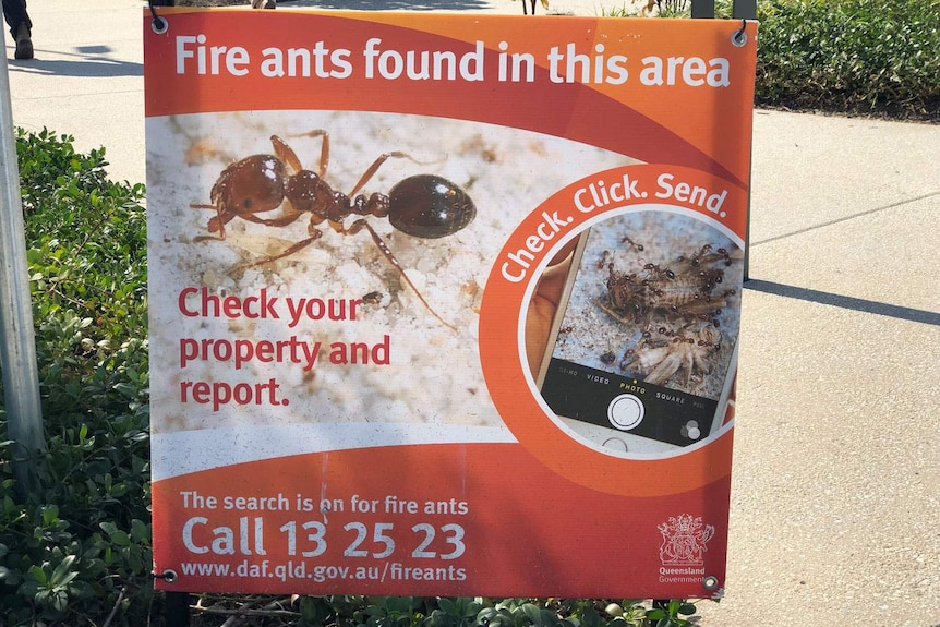 A sign urging Queensland residents to look out for and report red fire ants.