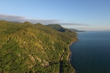 An aerial shot of a coastal forest