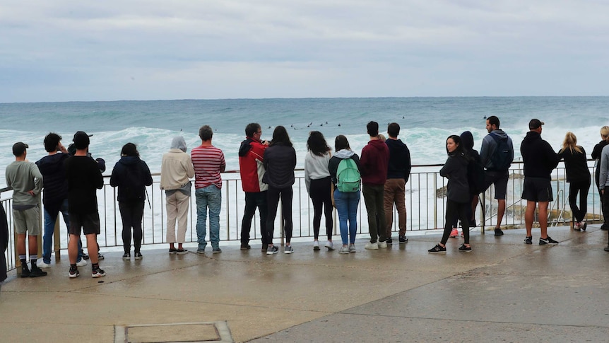 A line of people stand against the ocean backdrop.