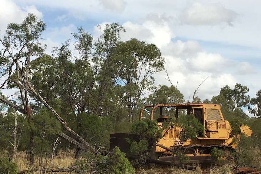 Machinery knocks over trees