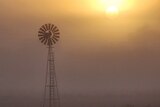 Fog over a rural setting, with a sun trying to shine through and a windmill in the shot.
