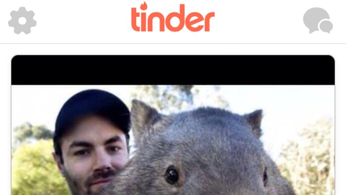 Ballarat wombat Patrick on Tinder