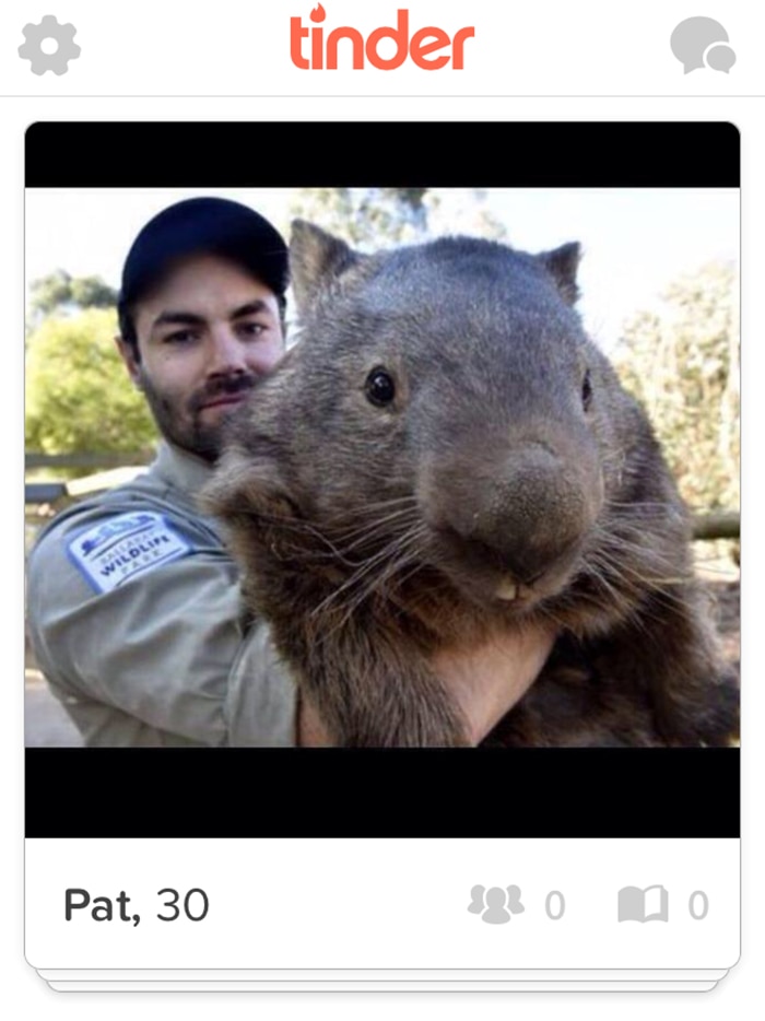 Ballarat wombat Patrick on Tinder