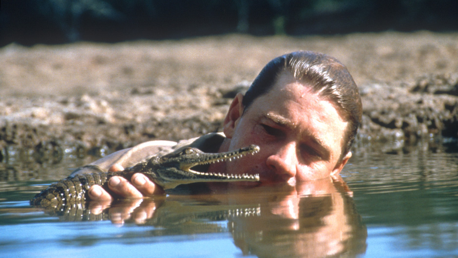 Steve Irwin in the water with a crocodile. Date unknown.