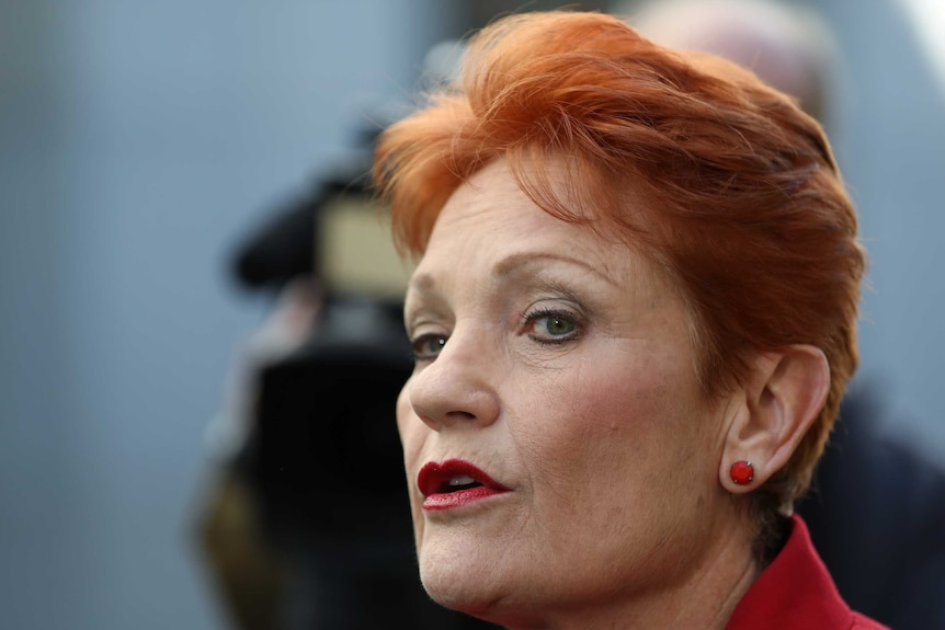 Pauline Hanson, wearing deep red lipstick that matches her stud earrings and blazer, glances sideways, in front of a camera
