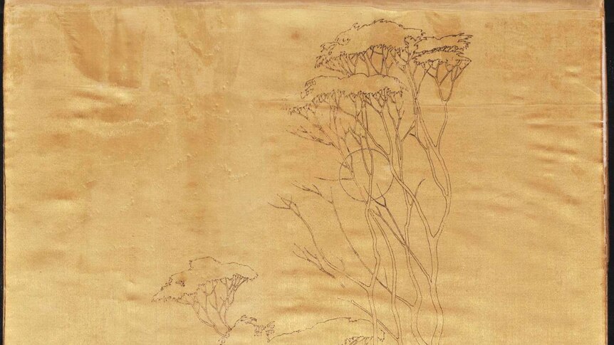 One of Canberra's original city designers Marion Mahoney Griffin, drew a forest during a trip to Hobart 90 years ago.