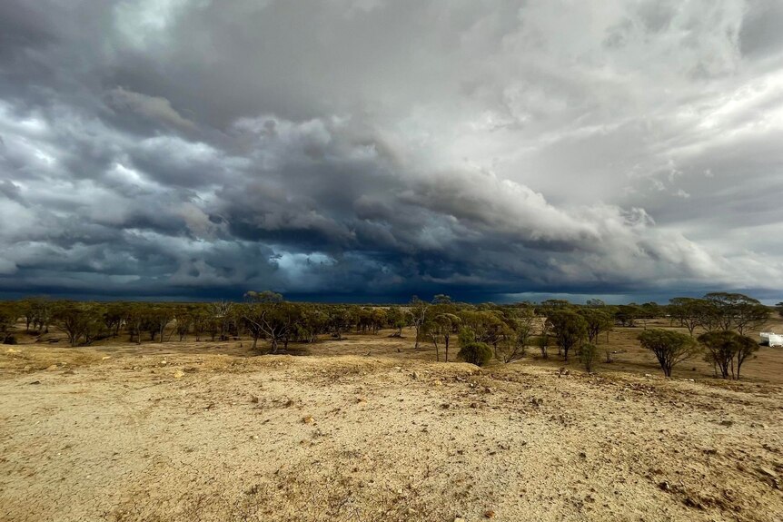 Storm clouds over Isis Down's cattle station at Isisford at  17.00 yesterday.