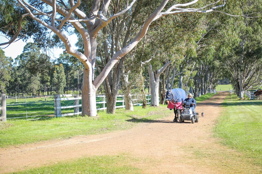 A woman on a four-wheeled scooter leads a horse along a dirt road, with a small dog trailing behind.
