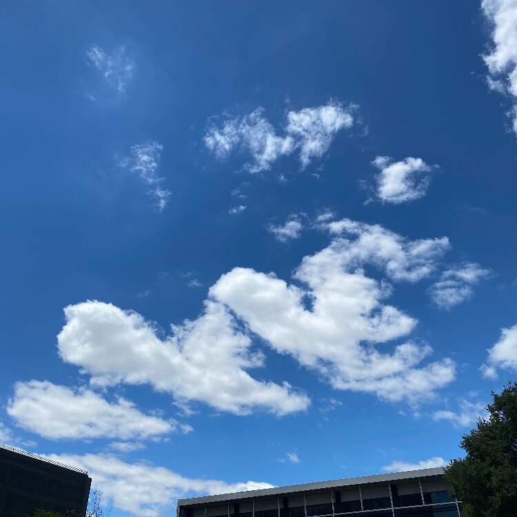 Antimicrobial resistant atmosphere: Superbugs found in clouds - ABC listen
