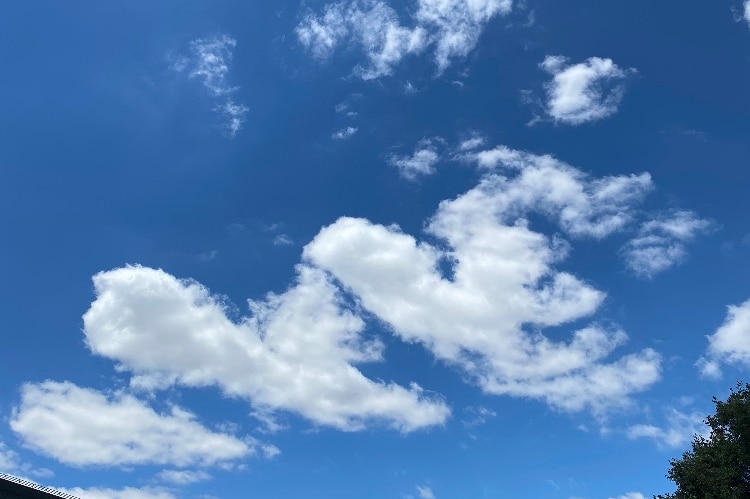 Scattered cloud with a blue sky.