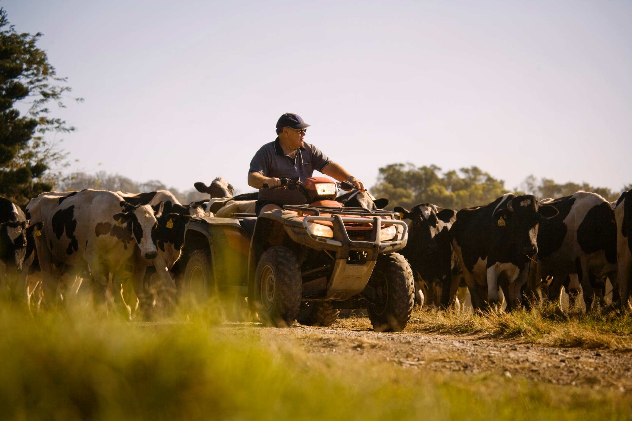 The trouble with quad bikes