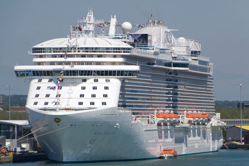 A large cruise ship is seen parked in a dock.