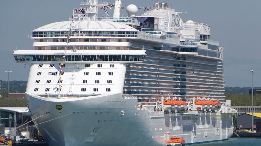A large cruise ship is seen parked in a dock.
